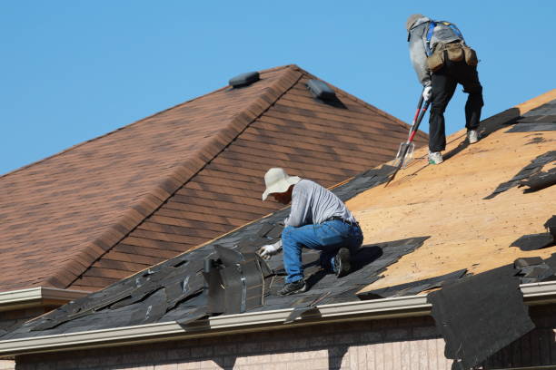 Best Roof Coating and Sealing  in South Holland, IL