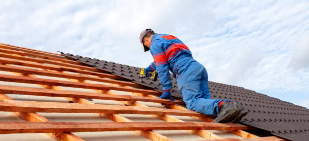 Steel Roofing in South Holland, IL