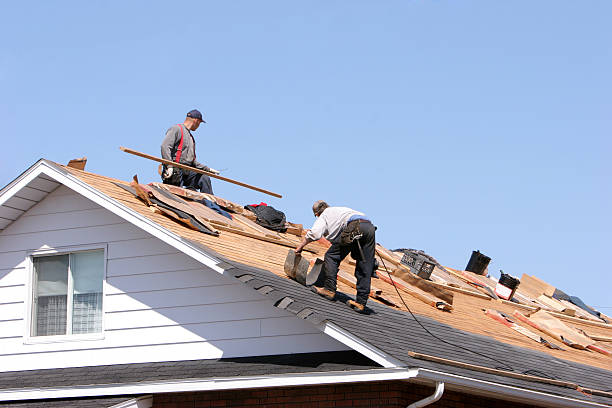Best Skylight Installation and Repair  in South Holland, IL